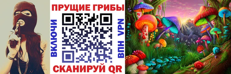 Псилоцибиновые грибы GOLDEN TEACHER Купить закладки Сосногорск
